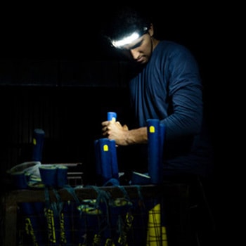 [充電式]LEDヘッドライト(非接触センサースイッチ付) エスコ