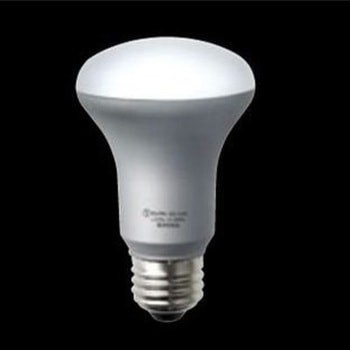 LEDレフ電球 エスコ
