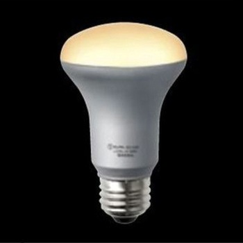 LEDレフ電球 エスコ