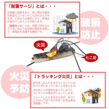 [一括スイッチ付]テーブルタップ(USB充電ポート/雷ガード付) エスコ