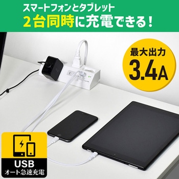 [一括スイッチ付]タップ(クランプ式/USB充電ポート/雷ガード付) エスコ