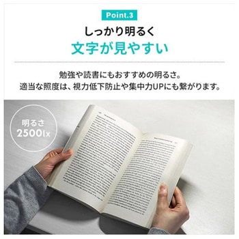 LEDデスクスタンド エスコ