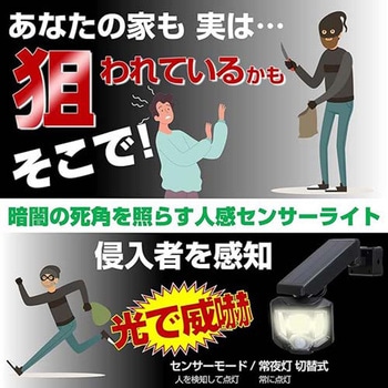 LEDセンサーライト(ソーラー式) - エスコ