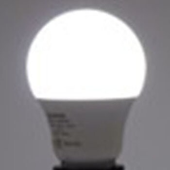 LED電球 広配光タイプ エコデバイス