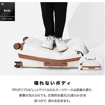 JOYWAY SORTIR(ソルティール)スーツケース+ミニバッグ+ミニポシェット3点セット DAP