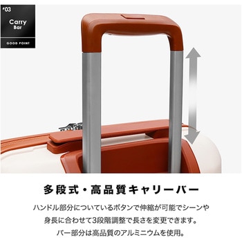 JOYWAY SORTIR(ソルティール)スーツケース+ミニバッグ+ミニポシェット3点セット DAP