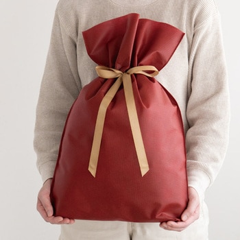 不織布リボン付ギフトバッグ HEADS(ヘッズ)