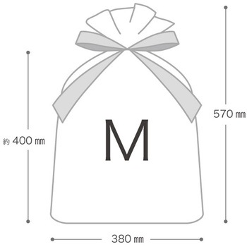 不織布リボン付ギフトバッグ HEADS(ヘッズ)
