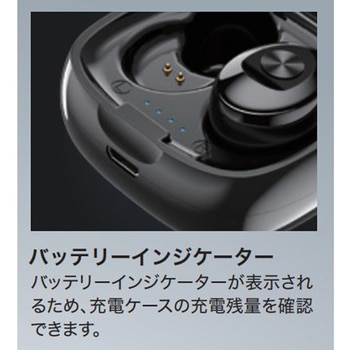 完全ワイヤレスイヤホン HIDISC