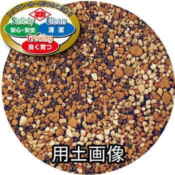 SCG クンシランの培養土 刀川平和農園