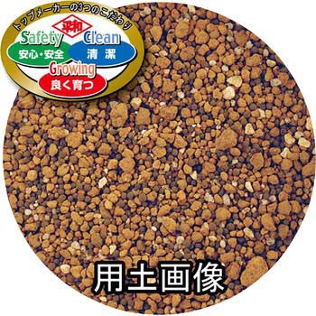 SCG クンシランの培養土 刀川平和農園
