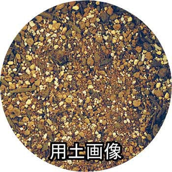 アロエ・金の成る木の培養土 刀川平和農園