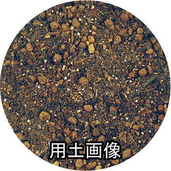 菊の土 刀川平和農園