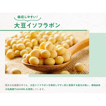 [冷蔵] マルサンアイ 豆乳グルト(機能性表示食品) 400g×6個 marusan