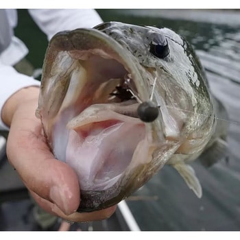 モノガードヴェスパG2 RYUGI(リューギ)