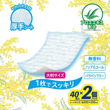 こころ想いからだ拭き 大判厚手 LEC(レック)