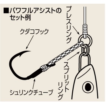 ショートダブルクダコ Shout! シャウト!