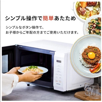 電子レンジ エスコ