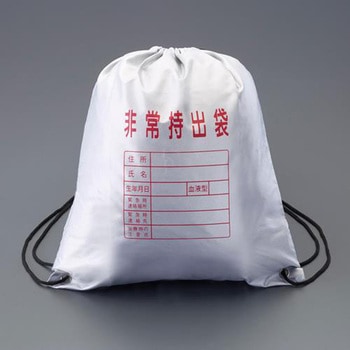 非常用持出袋 エスコ