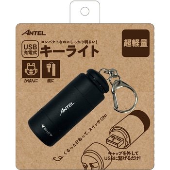 充電式キーライト 充電式 25lm  昼光色 キーホルダー付 ANTEL