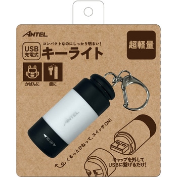 充電式キーライト 充電式 25lm  昼光色 キーホルダー付 ANTEL