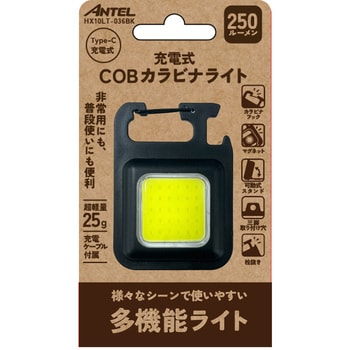 2個セット【USB-C充電】COBライトLEDカラビナ【キャンプ・ワークライト】 なき