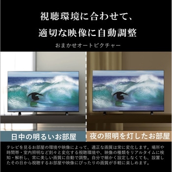 法人向けレグザ 4K液晶 C350M Professional series REGZA 液晶 法人向けレグザ 4K液晶 C350M Professional series REGZA 液晶