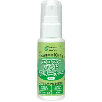 エコワンハンドクリーナー 80ml エコワン