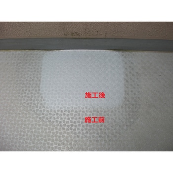 tr-0007 強力床用洗剤(濃縮タイプ)ヌリッパーx2(バイツー) 1本(3.78L