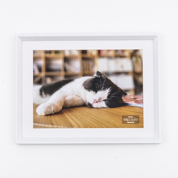 F-SW-121-W �ؐ��ʐ^�z �i�J�o���V 70431518