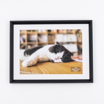 F-SW-121-D �ؐ��ʐ^�z �i�J�o���V 70431527