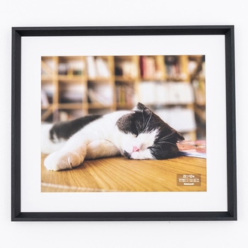 F-SW-122-D �ؐ��ʐ^�z �i�J�o���V 70431545