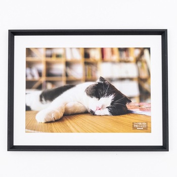 F-SW-123-D �ؐ��ʐ^�z �i�J�o���V 70431570