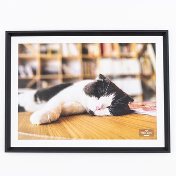 F-SW-124-D �ؐ��ʐ^�z �i�J�o���V 70431588