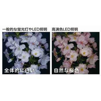 LEDライト 近藤製作所