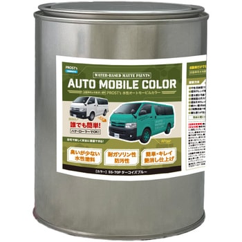 prost-om-r1 �����I�[�g���[�r���J���[ ���C�g�J���[ 1kg PROST's �^�[�R�C�Y�u���[�F   prost-om-r1 70436181