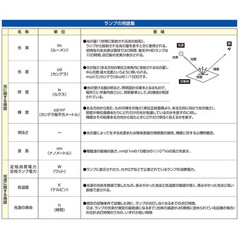 AC100V/12.9W/E26 電球/LED(電球色) エスコ