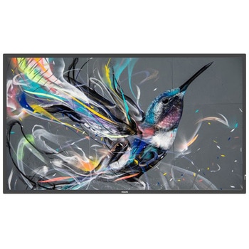 液晶ディスプレイ(サイネージ) 43型/Android無し Philips