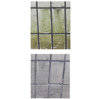 コケそうじ剤 エスコ