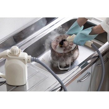 スチームクリーナーセット - エスコ