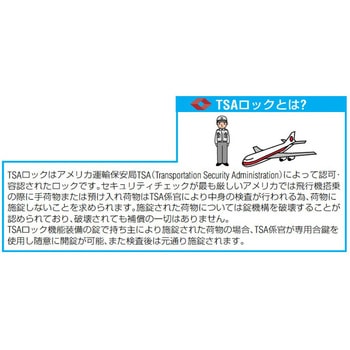 ダイアル錠[アメリカ税関認定] エスコ