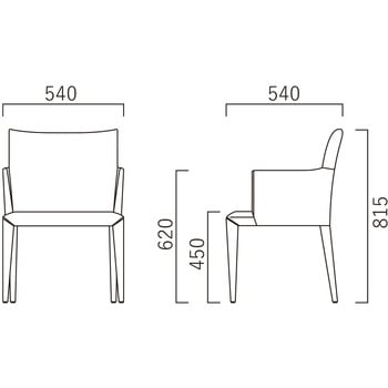 PENⅡチェア 肘付き 関家具(COMFY/コンフィー)