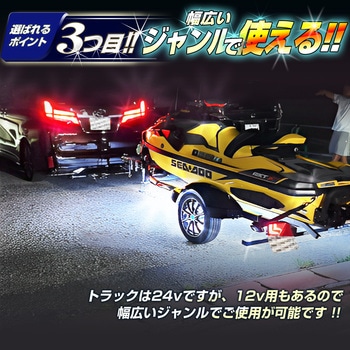 LEDテープライトチップ1段タイプ 3m 防水 12v 専用 竹村商会