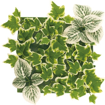 KH-61220 GNA ǖʃA[eBtBVO[ Pi LV} 70451816