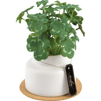 KH-61251 �G�N���A ���픫�A�[�e�B�t�B�V�����O���[�� �L�V�} 70451895