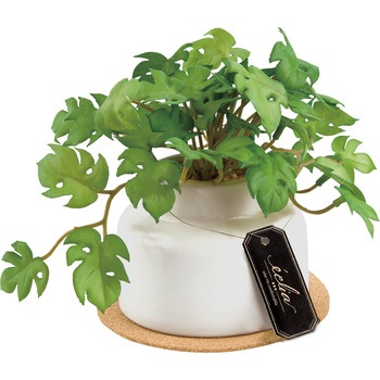 KH-61253 エクリア 陶器鉢アーティフィシャルグリーン キシマ 70451913