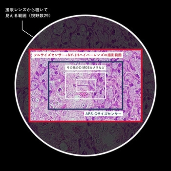 NY1H-Z ニコンZ用 顕微鏡アダプター NY-1Hハイパーレンズ(広視野 NY1H-Z ニコンZ用 顕微鏡アダプター NY-1Hハイパーレンズ(広視野