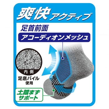 ニオイクリア スニーカー先丸2足入り G-9247 - コーコス信岡