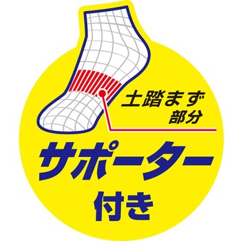 ニオイクリア ハイゲージロング2足入り G-9328 - コーコス信岡
