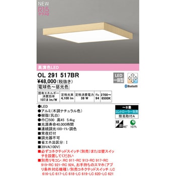 フラットプレート 居住用LEDシーリングライト 角型 ODELIC(オーデリック)